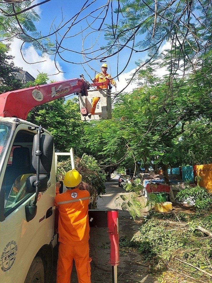 EVN khởi công 7 dự án trong tháng 8 2