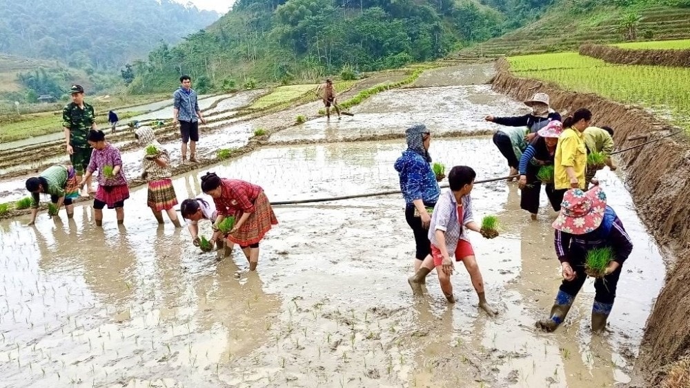 Cuộc sống của đồng bào Mông tại Thanh Hóa đã có nhiều thay đổi tích cực nhờ các chương trình, chính sách dân tộc Cuộc sống của đồng bào Mông tại Thanh Hóa đã có nhiều thay đổi tích cực nhờ các chương trình, chính sách dân tộc
