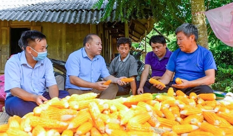 Đồng bào Mông thực hiện nếp sống văn hóa mới là nhờ việc triển khai thành công từ Đề án 2181 của tỉnh Thanh Hóa Đồng bào Mông thực hiện nếp sống văn hóa mới là nhờ việc triển khai thành công từ Đề án 2181 của tỉnh Thanh Hóa