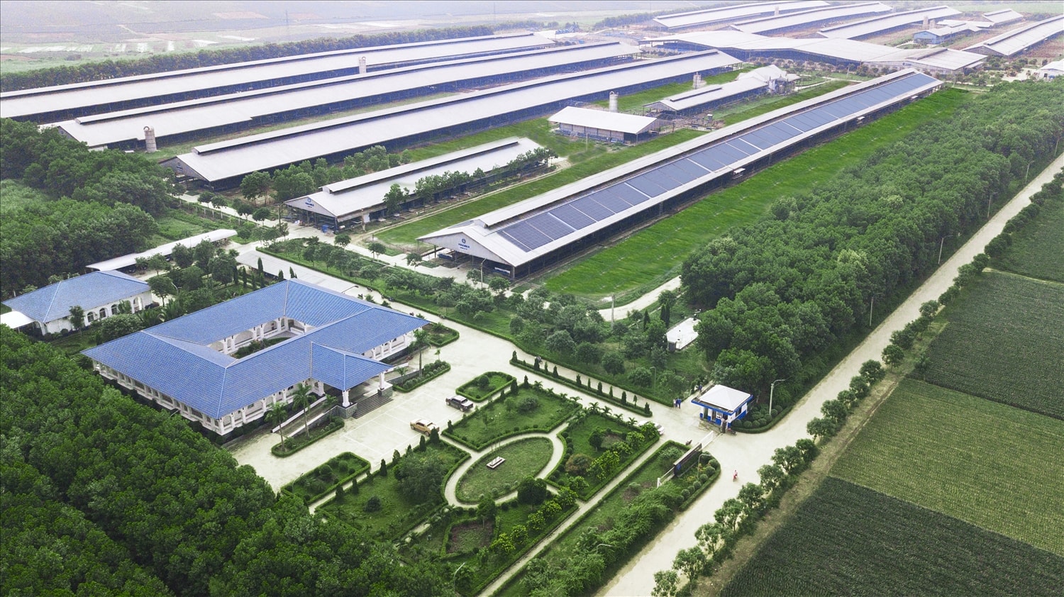 : Phát triển bền vững đã được Vinamilk đưa vào chiến lược trọng yếu, thể hiện trong việc Vinamilk đã mở rộng và xây dựng mới hệ thống trang trại bò sữa công nghệ cao trong suốt gần 20 năm qua Phát triển bền vững đã được Vinamilk đưa vào chiến lược trọng yếu, thể hiện trong việc Vinamilk đã mở rộng và xây dựng mới hệ thống trang trại bò sữa công nghệ cao trong suốt gần 20 năm qua