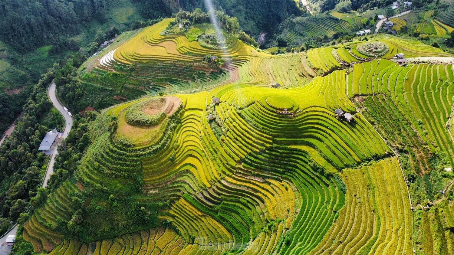 Mù Cang Chải được biết đến là một trong những thửa ruộng bậc thang đẹp nhất thế giới. Hằng năm vào mùa lúa chín, nơi đây lại thu hút hàng vạn du khách cả trong và ngoài nước ghé thăm