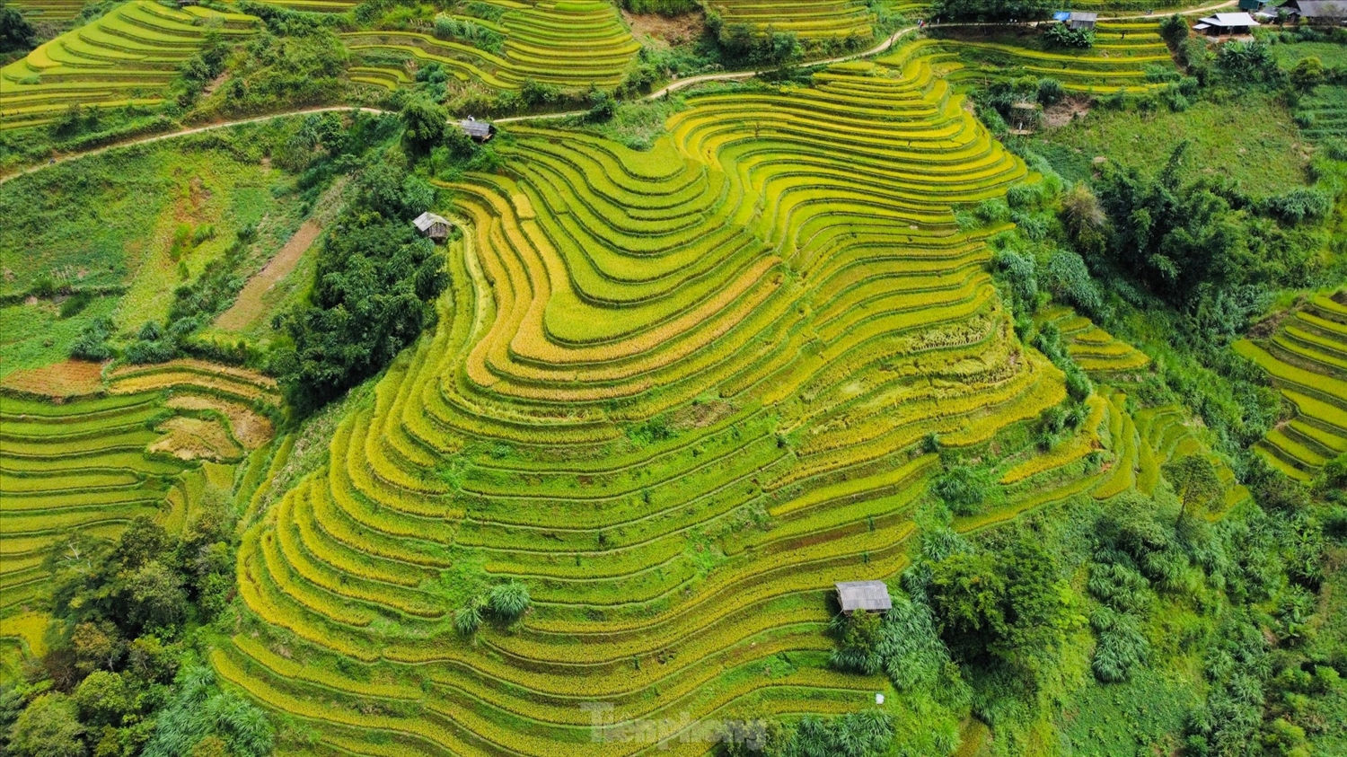 Ruộng bậc thang trùng trùng điệp điệp bao phủ khắp khung cảnh kéo dài từ sườn núi này qua sườn núi khác tạo nên một khung cảnh hùng vỹ, tuyệt đẹp