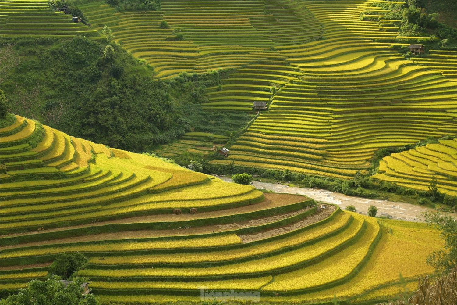 Cách Hà Nội chỉ khoảng 300km, nằm trên cung đường Tây Bắc tuyệt đẹp của tỉnh Yên Bái, Mù Cang Chải được coi là điểm “check in” không thể thiếu của giới trẻ, dân “phượt” và dân đam mê nhiếp ảnh