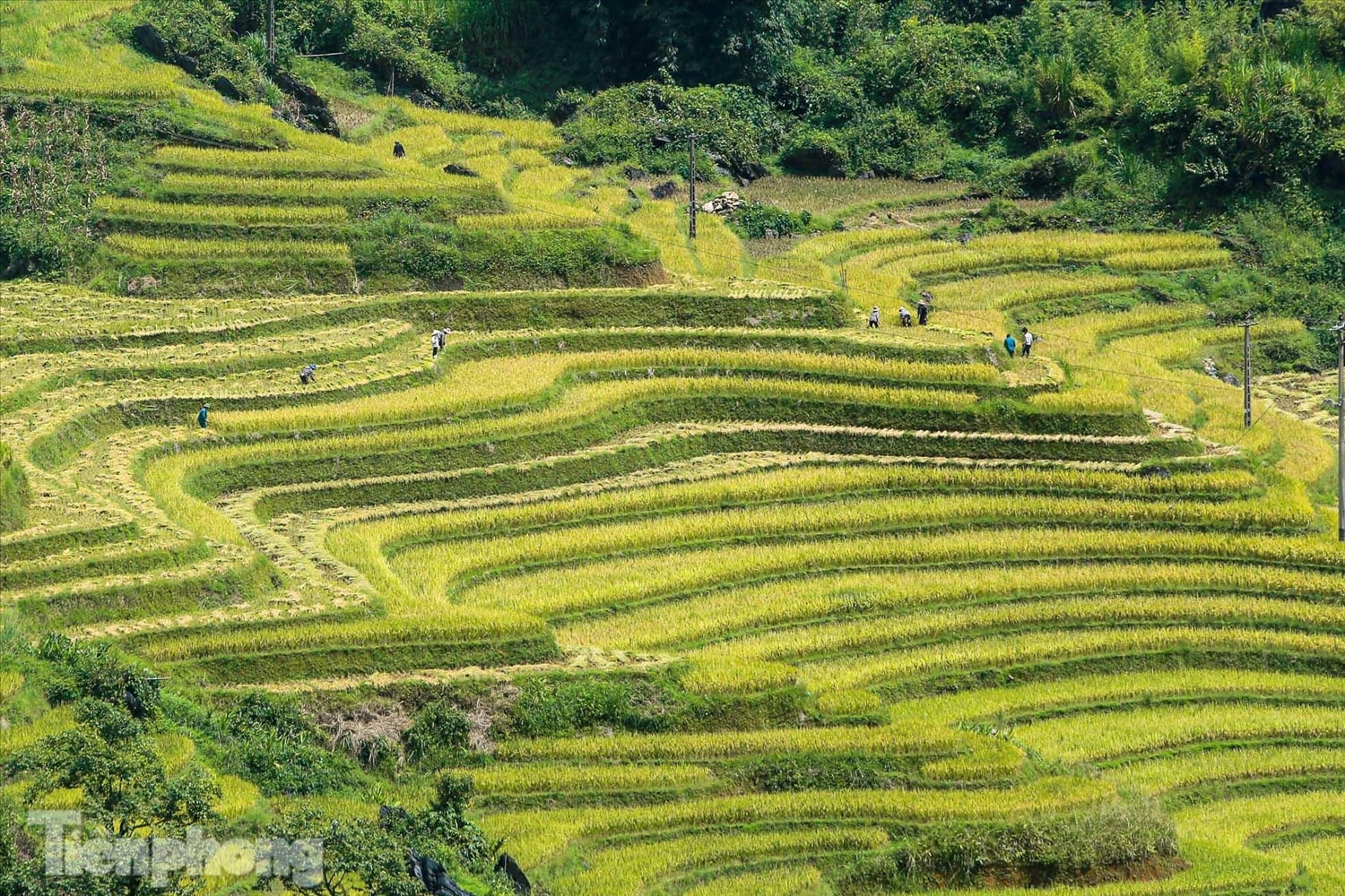 Y Tý là một xã miền núi thuộc huyện Bát Xát, tỉnh Lào Cai nằm trên vùng núi đá có độ cao khoảng 2.000 m so với mặt nước biển