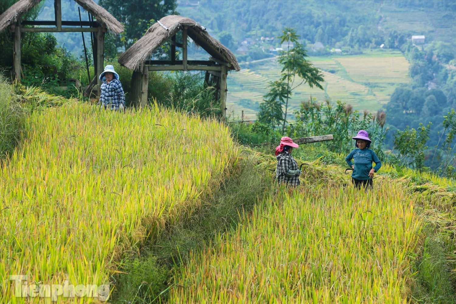 Với những ai luôn tất bật với bộn bề cuộc sống thì những ngày trải nghiệm ở Y Tý vào mùa thu là những ngày 