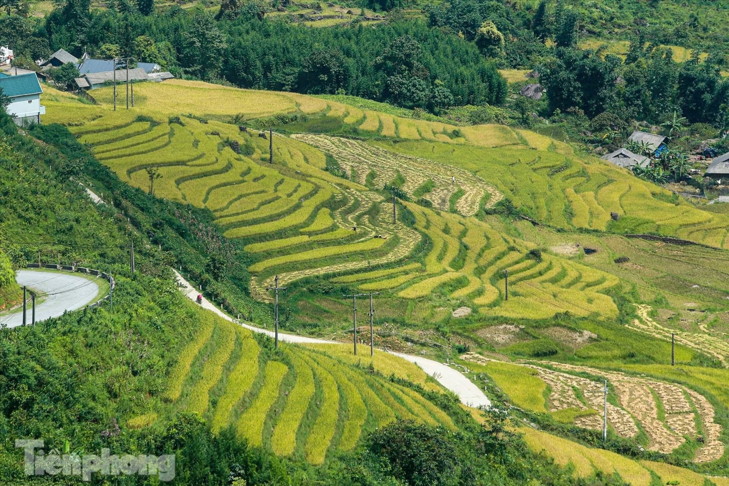 Đường đến Y Tý với những con dốc khó đi. Nhưng với những người đam mê xê dịch, yêu thích trải nghiệm và khám phá vẻ đẹp thiên nhiên, đó lại là một niềm thách thức đầy hứng thú