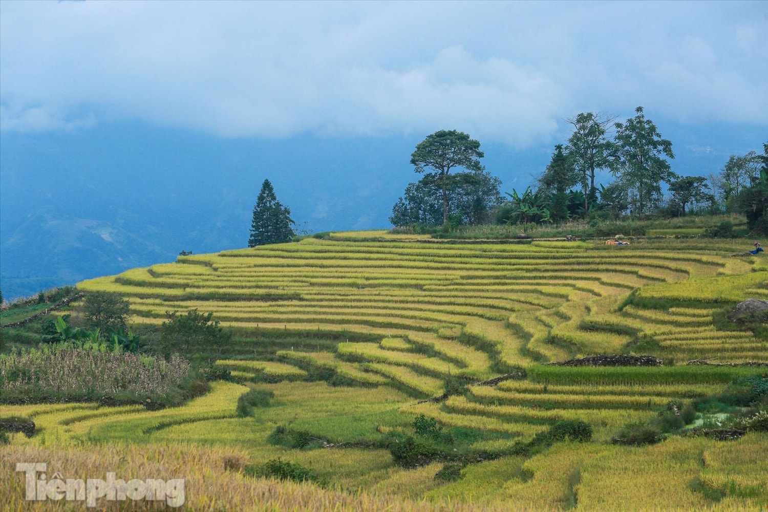 Những thửa ruộng bậc thang tầng tầng lớp lớp