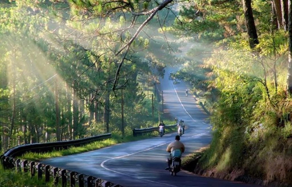 Đà Lạt- Thiên đường du lịch 1