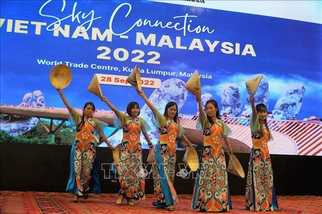 Người Việt ở Malaysia biểu diễn bài múa 