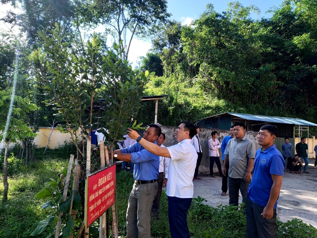 Bí thư Huyện uỷ Mường Nhé Nguyễn Quang Hưng, hướng dân người dân chăm sóc cây mác ca
