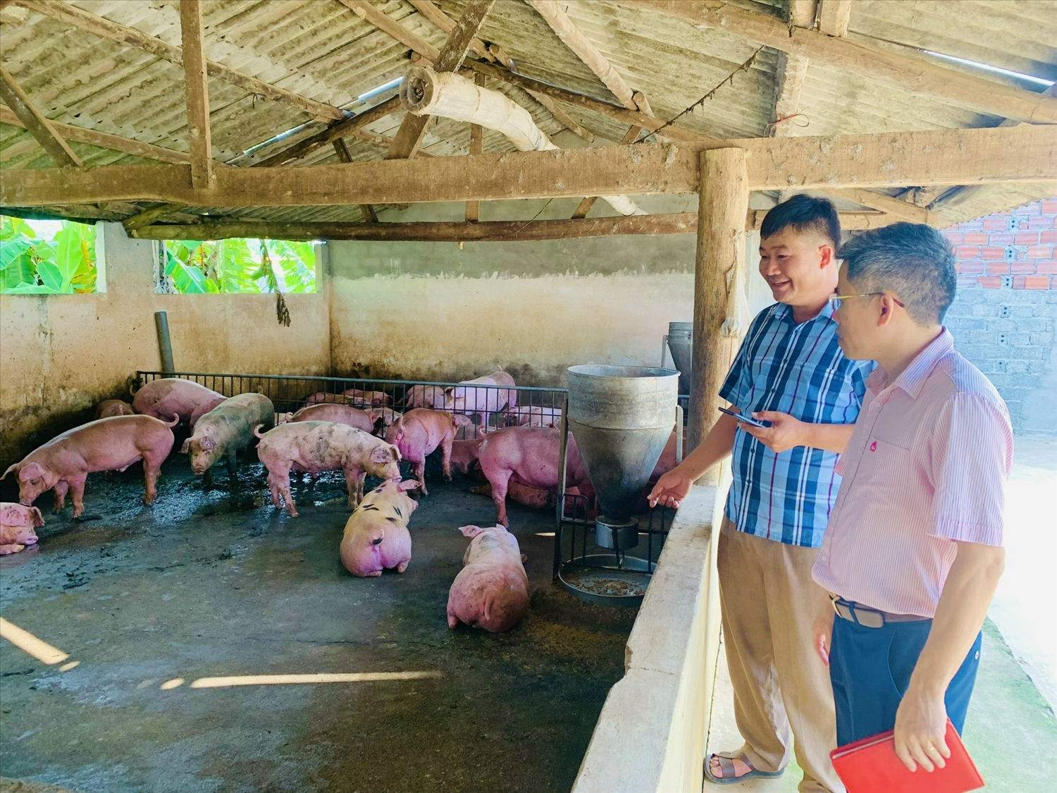 Nguồn vốn tín dụng chính sách xã hội giúp nhiều thanh niên vượt khó vươn lên làm giàu trên chính quê hương mình.