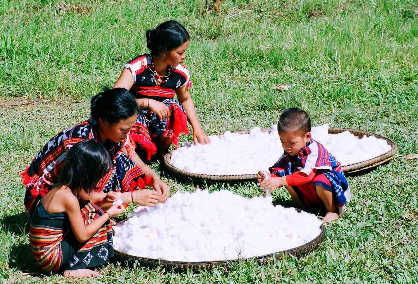 Phụ nữ Cơ Tu làng Công Dồn phơi bông để dệt thổ cẩm (Ảnh Tấn Vịnh) Phụ nữ Cơ Tu làng Công Dồn xã Zuôich, huyện Nam Giang (Quảng Nam) phơi bông để dệt thổ cẩm (Ảnh Tấn Vịnh)