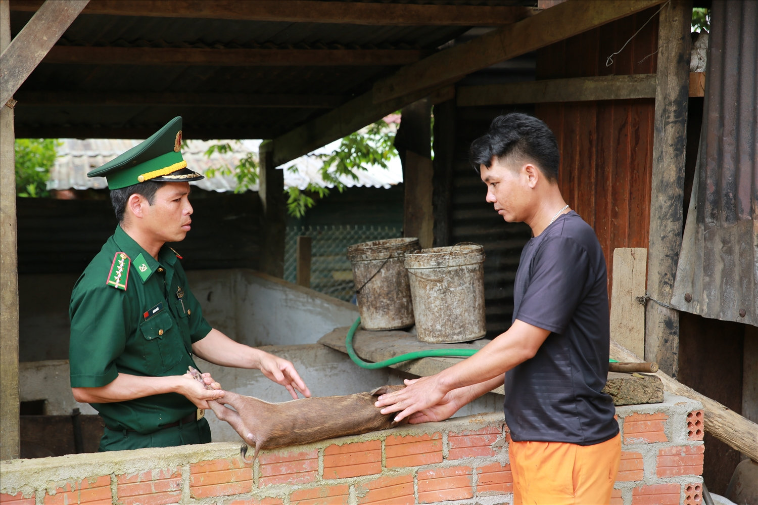 Cán bộ Đồn Biên phòng Đắc Pring hướng dẫn cho nhân dân xã biên giới nuôi lợn rừng nhằm tăng thu nhập.