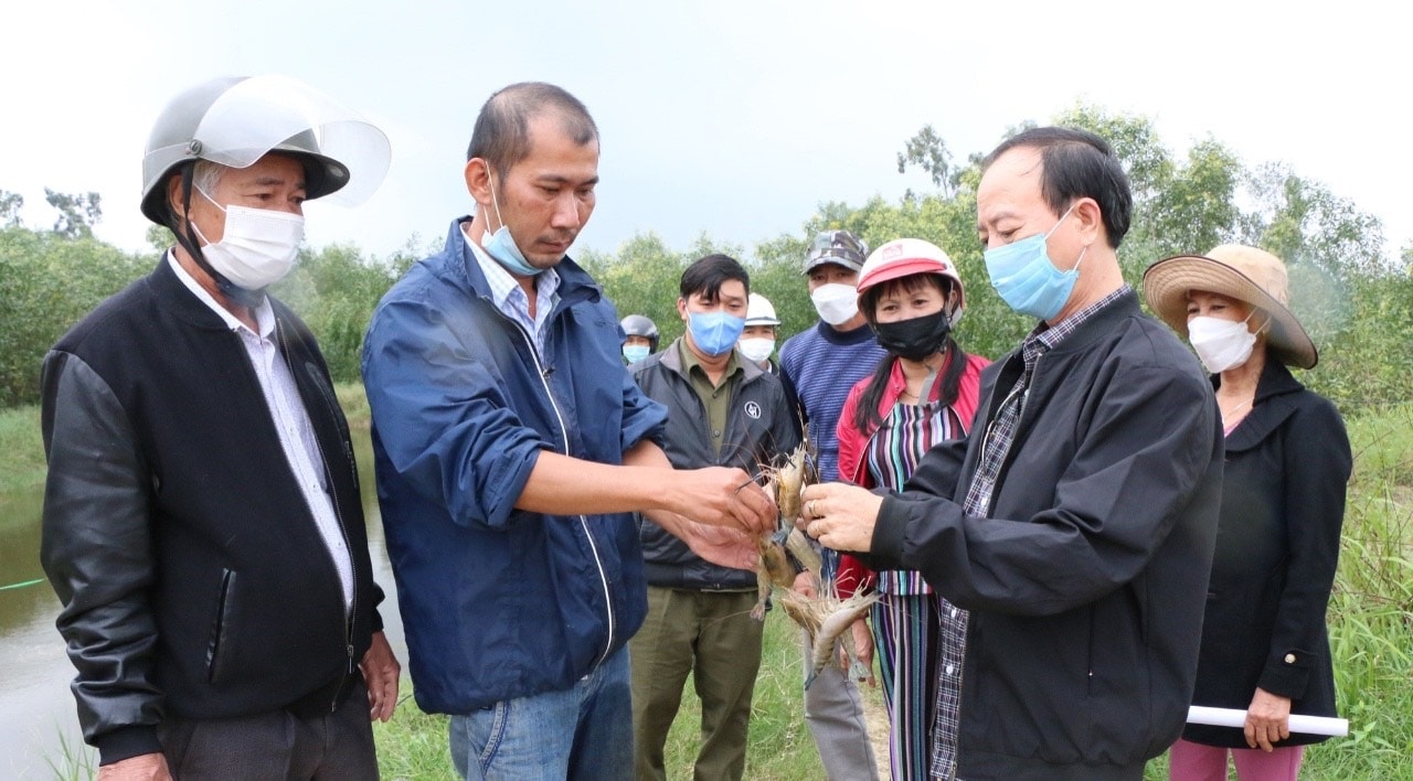 Ông Nguyễn Đình Tuấn (bên phải), Giám đốc Trung tâm Khuyến nông tỉnh Quảng Ngãi nghiệm thu mô hình. (Ảnh: Mạnh Hùng)