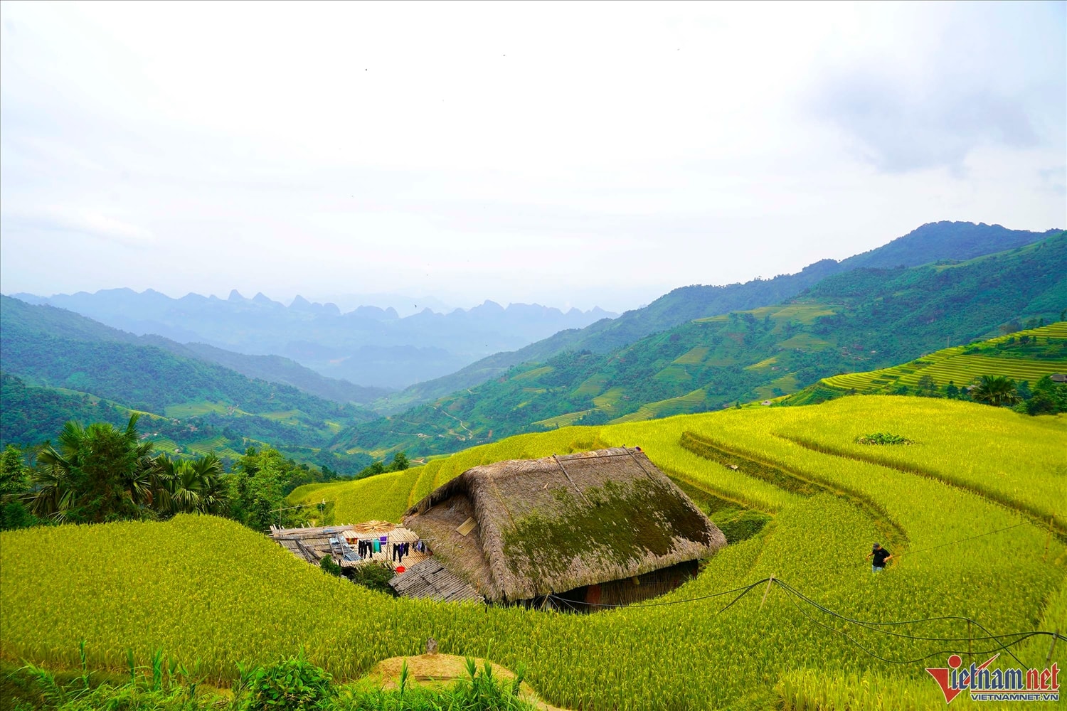 Xà Phìn có vẻ đẹp rất khác với Hoàng Su Phì hay Mù Cang Chải khi điểm tô vào đó là những mái nhà rêu được bao bọc xung quanh ruộng lúa chín vàng