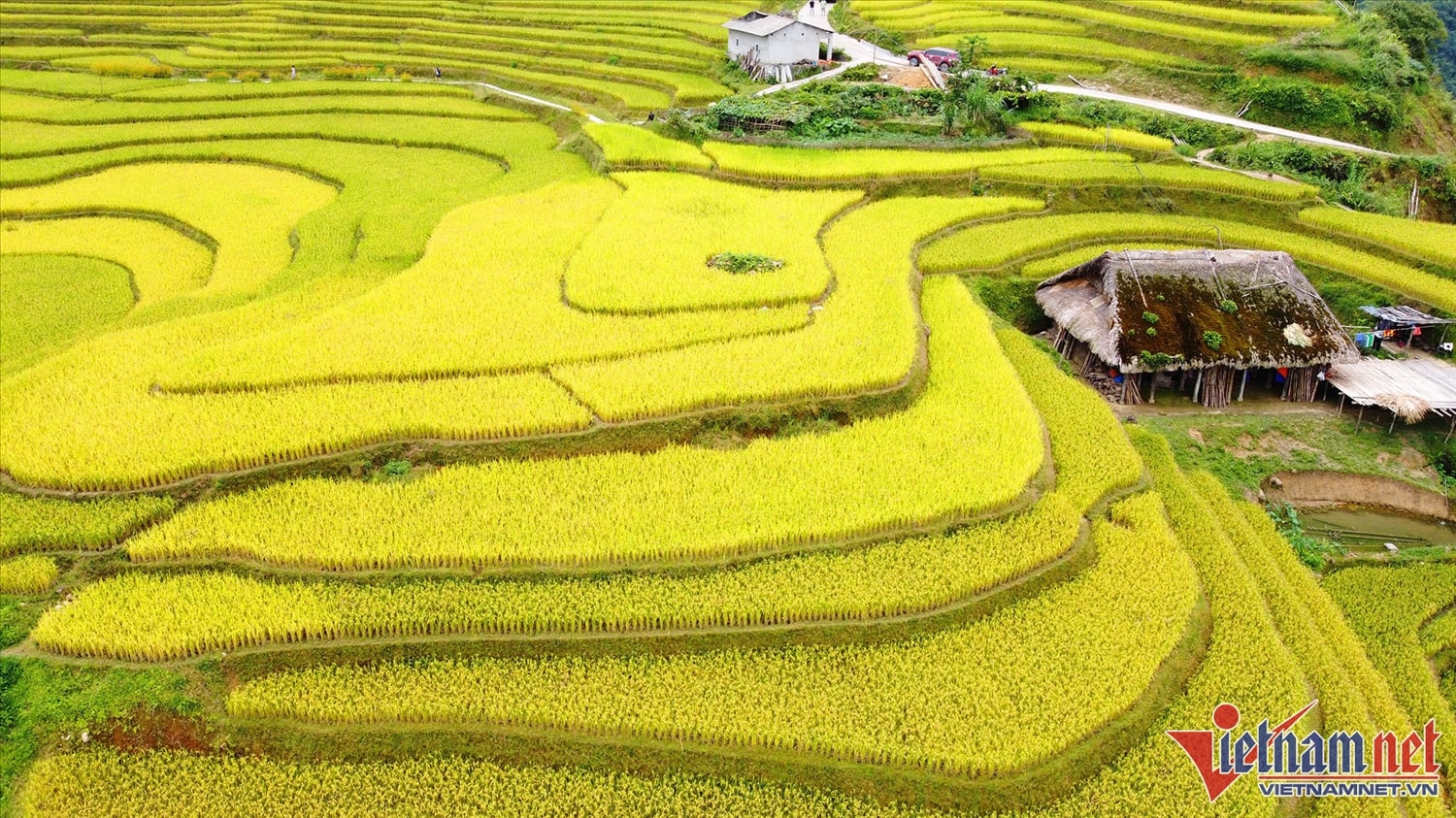 Có thể nói, thời điểm hiện tại Xà Phìn đẹp nhất trong năm khi ruộng bậc thang được nhuộm vàng