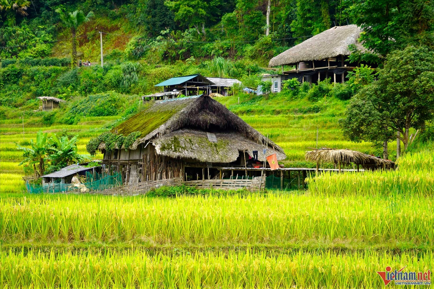 Dựa lưng trên dải Tây Côn Lĩnh, thôn Xà Phìn có gần 300 nhân khẩu người Dao. Nơi đây có những thửa ruộng bậc thang óng ả khi mùa về. Với độ cao khoảng 1.000m so với mực nước biển, nơi đây có khí hậu mát mẻ vào mùa hè, mùa thu