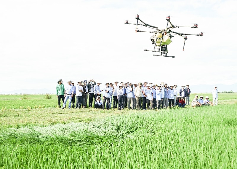 Sử dụng drone để phun thuốc bảo vệ thực vật tại Hợp tác xã Diên Khánh, xã Hải Dương, huyện Hải Lăng, tỉnh Quảng Trị. Ảnh: Thục Quyên Sử dụng drone để phun thuốc bảo vệ thực vật tại Hợp tác xã Diên Khánh, xã Hải Dương, huyện Hải Lăng, tỉnh Quảng Trị. Ảnh: Thục Quyên