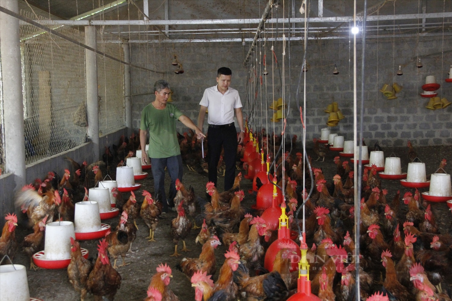 Công nghệ số đang được tỉnh Quảng Trị ứng dụng vào nhiều lĩnh vực nông nghiệp như chăn nuôi, trồng trọt, thủy sản... ( Ảnh: Bảo Ngọc) Công nghệ số đang được tỉnh Quảng Trị ứng dụng vào nhiều lĩnh vực nông nghiệp như chăn nuôi, trồng trọt, thủy sản... ( Ảnh: Bảo Ngọc)