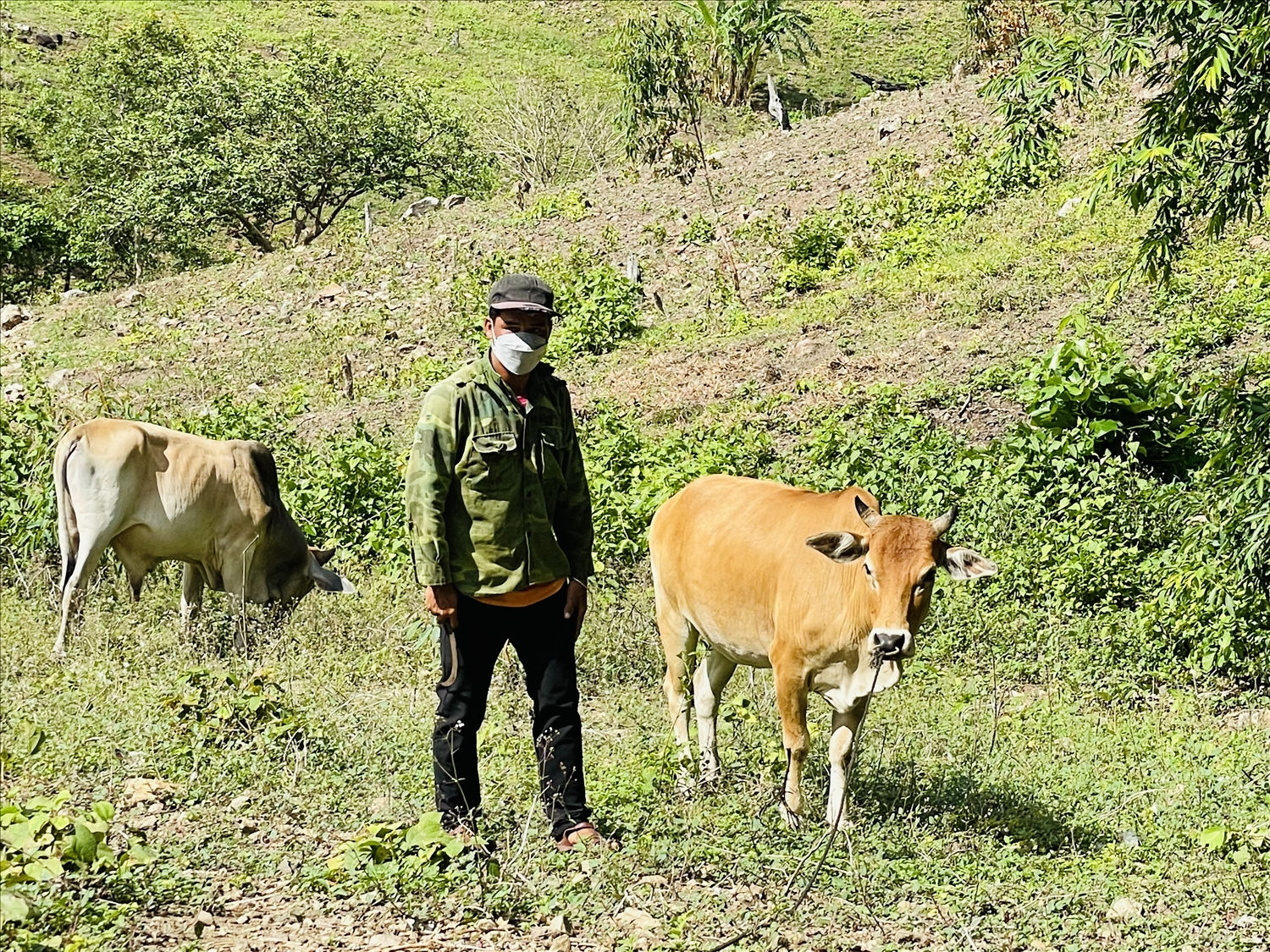 Nhờ có nguồn vốn từ NHCS mà gia đình anh A Nhok ở làng Tpôn (xã Yang Nam, huyện Kông Chro) đã vươn lên thoát nghèo