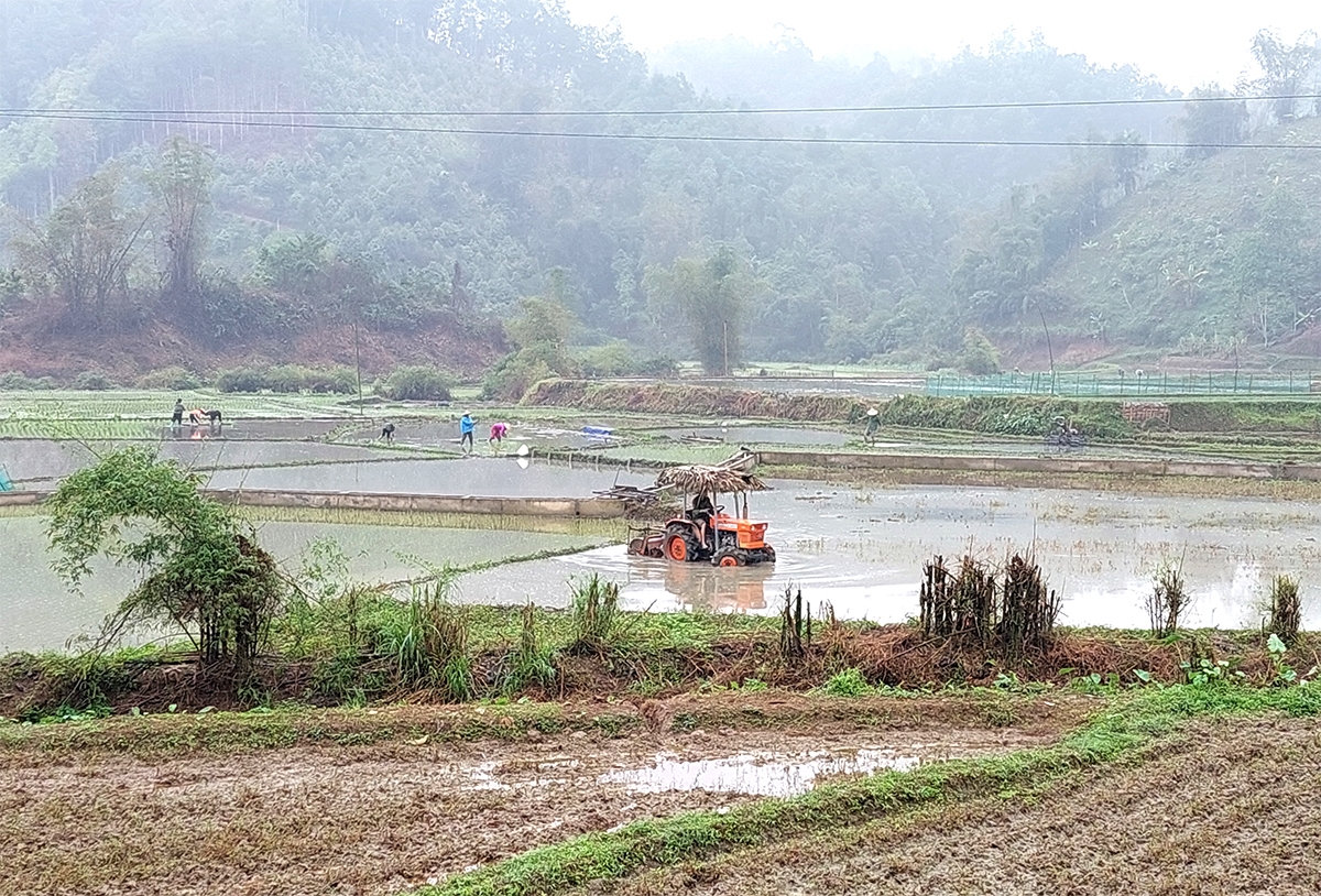 Nhân dân xã Thanh Vận tập trung đẩy mạnh sản xuất, vươn lên thoát nghèo 
