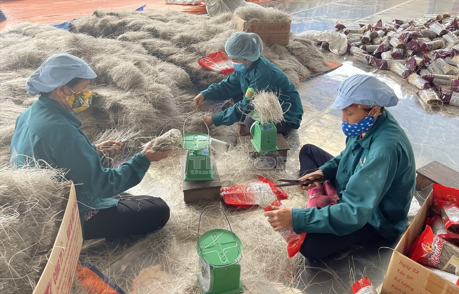 Nguồn vốn vay ưu đãi của Quỹ hỗ trợ đã mang lại hiệu quả thiết thực rõ rệt về mặt kinh tế - xã hội, giúp cho nhiều HTX phát triển, mở rộng sản xuất tạo việc làm ổn định cho hàng nghìn lao động địa phương