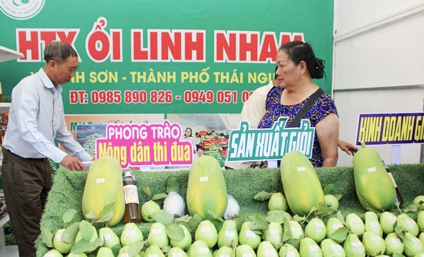 Gian hàng trưng bày sản phẩm ổi Linh Nham, xã Linh Sơn Gian hàng trưng bày sản phẩm ổi Linh Nham, xã Linh Sơn