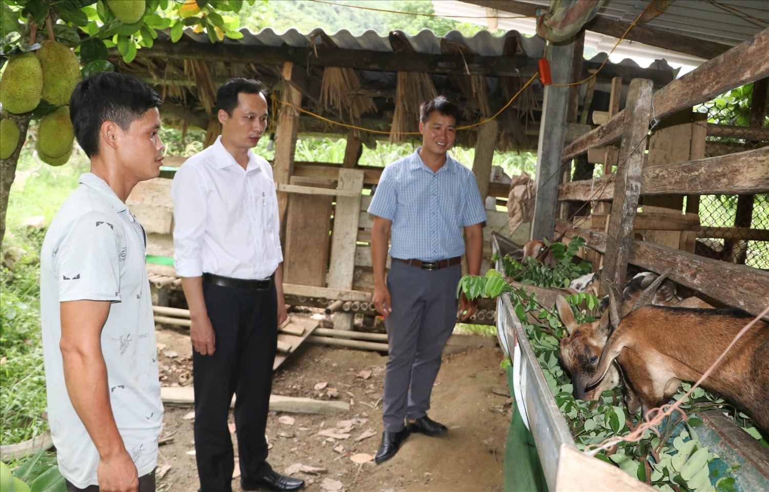 Phó Chủ tịch UBND xã Phù Lưu Đỗ Đình Quý (thứ 2 từ trái qua), tích cực về cơ sở nắm bắt tình hình đời sống của bà con