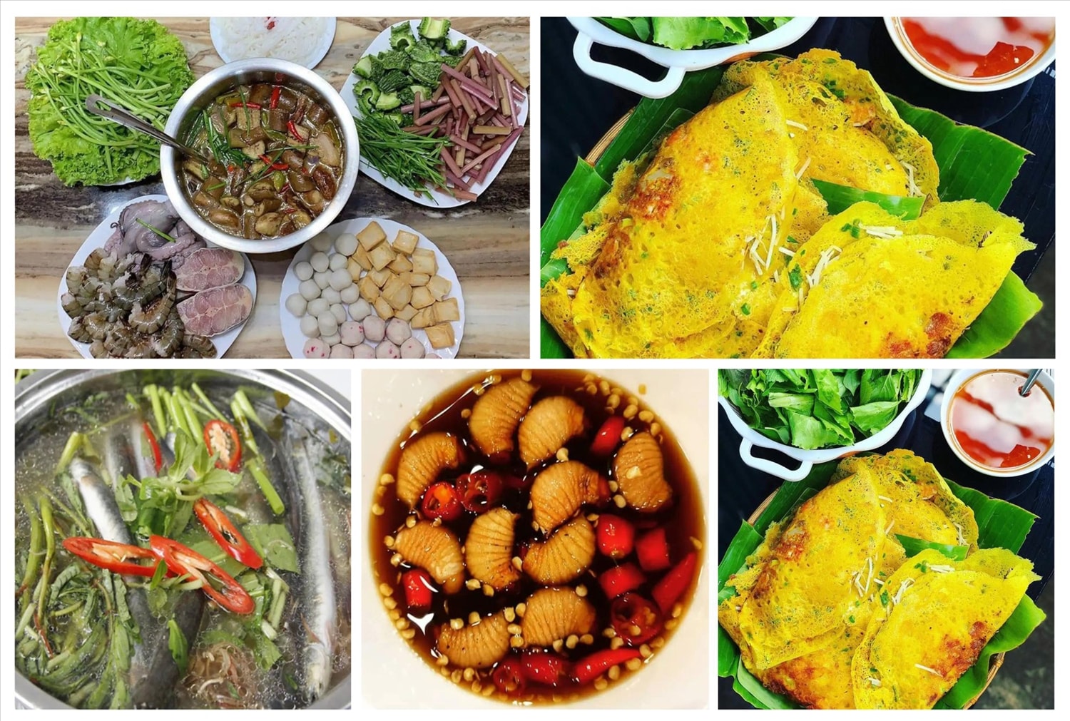 Khám phá miền Tây sông nước Bạc Liêu 5