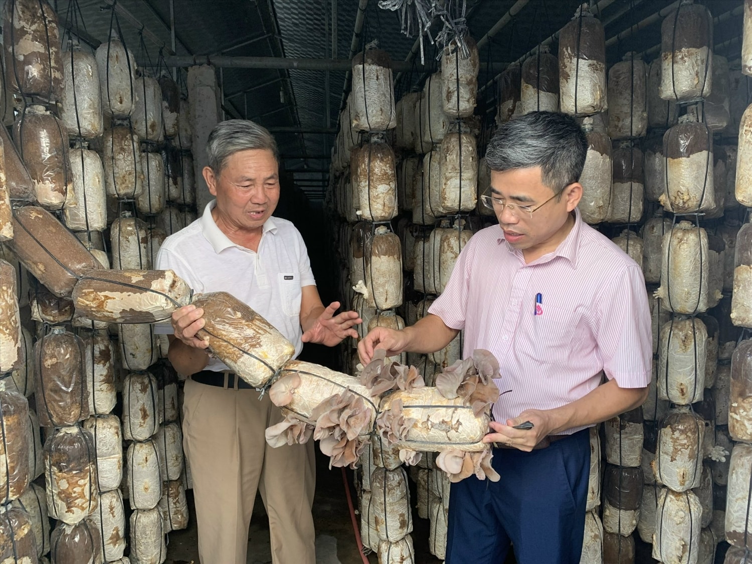 Nguồn vốn ưu đãi góp phần phát triển kinh tế tại xã Sơn Thành, huyện Yên Thành (Nghệ An). Nguồn vốn ưu đãi góp phần phát triển kinh tế tại xã Sơn Thành, huyện Yên Thành (Nghệ An).