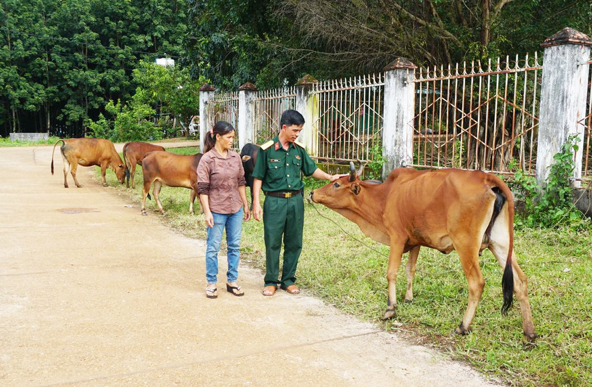 Nhiều hộ dân trên địa bàn xã mạnh dạn vay vốn để chăn nuôi bò. (Ảnh: VT) Nhiều hộ dân trên địa bàn xã mạnh dạn vay vốn để chăn nuôi bò. (Ảnh: VT)