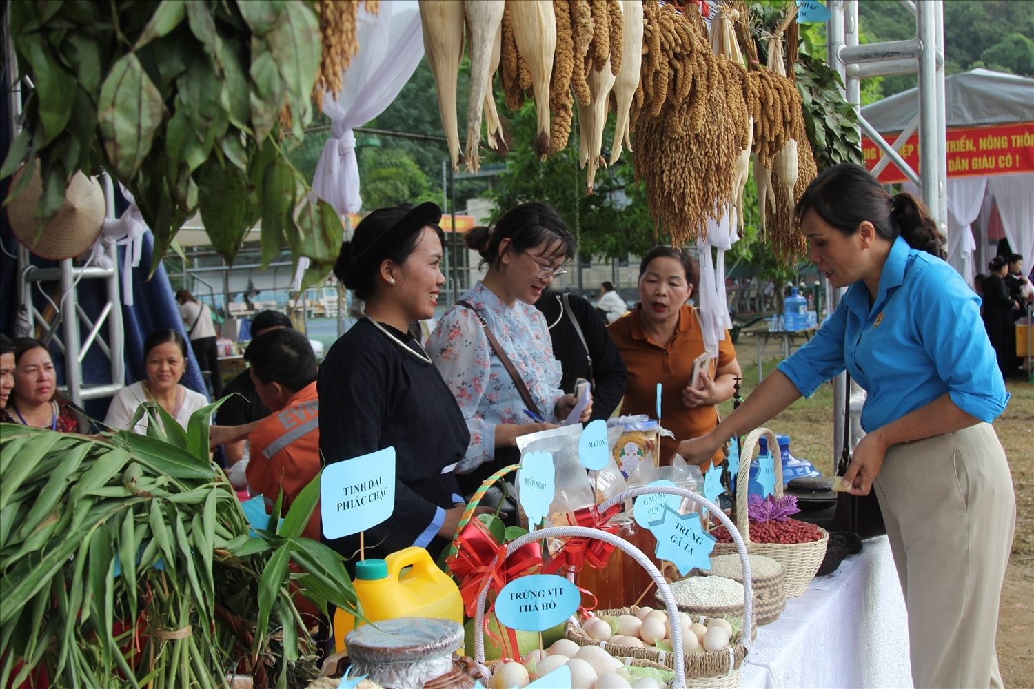 Bảo Lạc có nhiều sản vật phong phú, đặc sắc