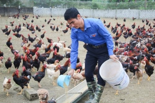 Anh Quách Văn Bộ là một trong những cán bộ Đoàn được nhận Giải thưởng Lý Tự Trọng do Trung ương Đoàn TNCS Hồ Chí Minh trao tặng