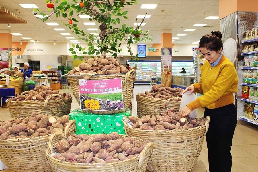 Khoai lang Phú Thiện bày bán ở siêu thị được người tiêu dùng tin chọn