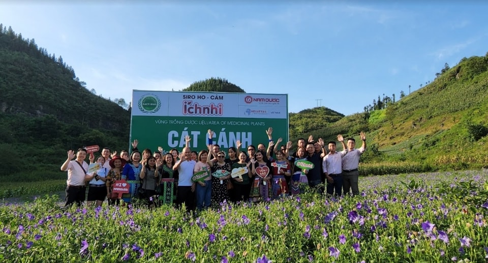 Hiện cát cánh không chỉ được bán cho các công ty dược liệu, mùa hoa nở nơi đây cũng thu hút nhiều khách du lịch đến chụp ảnh