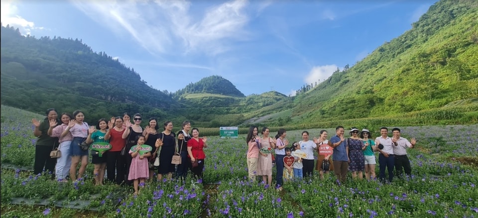 Người nông dân sở hữu “thung lũng dược liệu triệu đô” 2