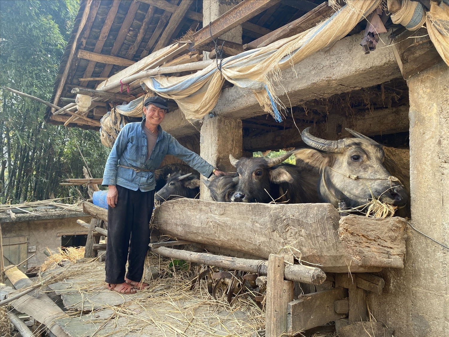 Việc hỗ trợ, tạo sinh kế đã góp phần kéo giảm tỉ lệ hộ nghèo trong đồng bào DTTS tỉnh Hà Giang