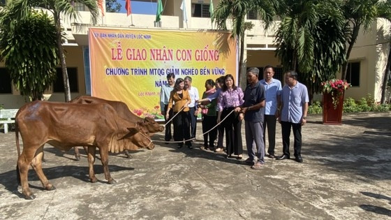 Hộ nghèo đồng bào DTTS vui mừng vì được nhận bò giống
