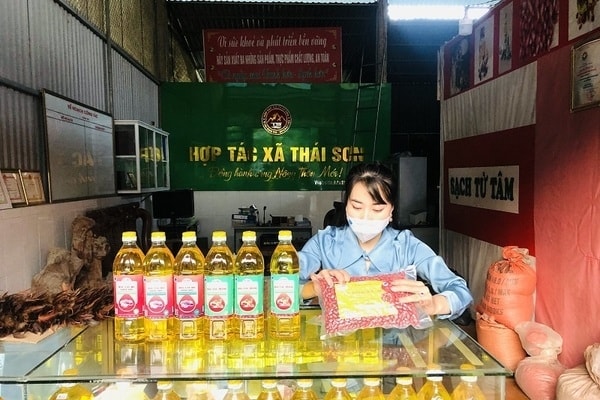 Một số sản phẩm OCOP khác của Hợp tác xã Thái Sơn được khách hàng ở nhiều địa phương tin dùng, đặt mua qua sàn thương mại điện tử. Một số sản phẩm OCOP khác của Hợp tác xã Thái Sơn được khách hàng ở nhiều địa phương tin dùng, đặt mua qua sàn thương mại điện tử.
