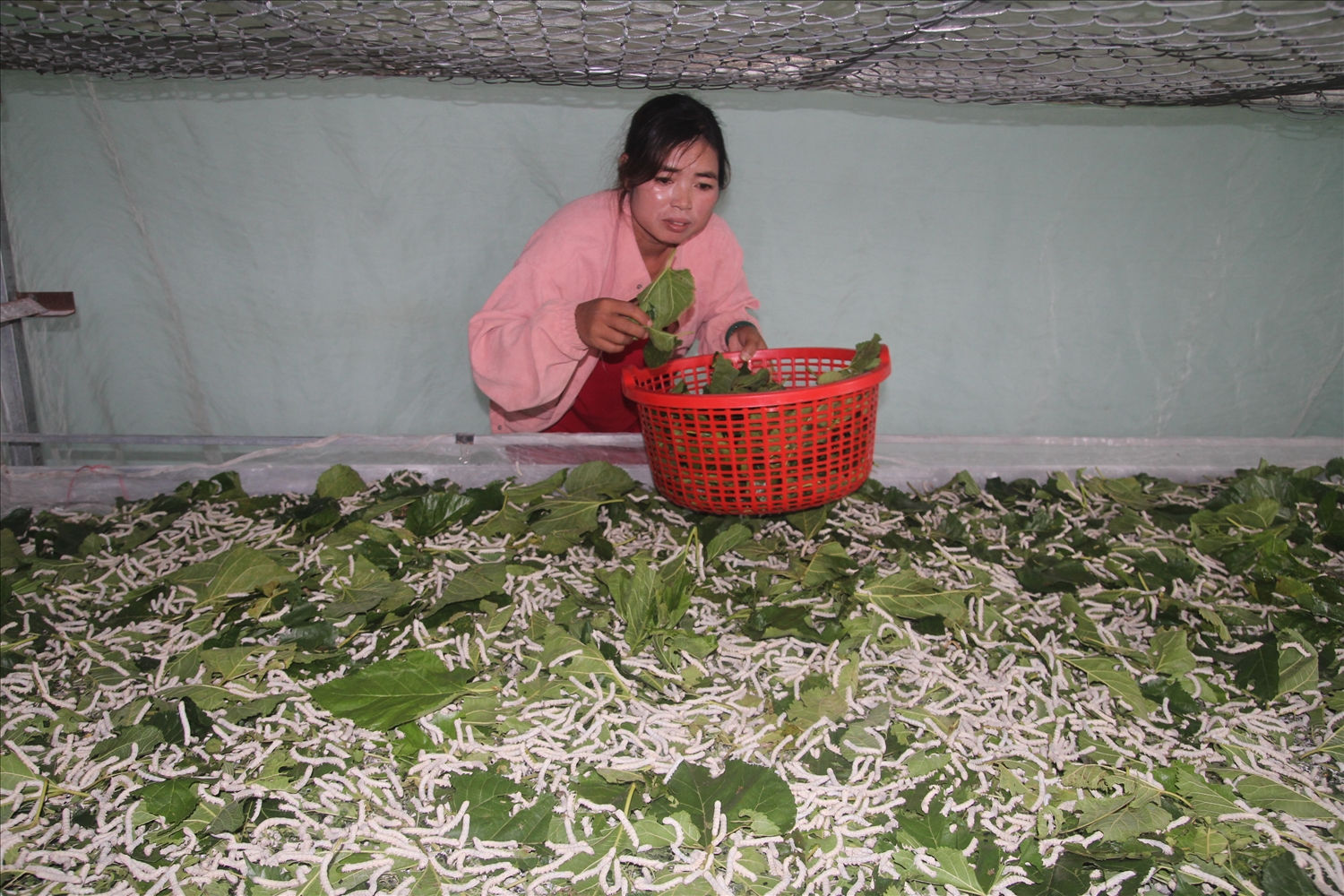 Những mô hình giảm nghèo ở vùng đồng bào DTTS xã Đạ M’Rông 1
