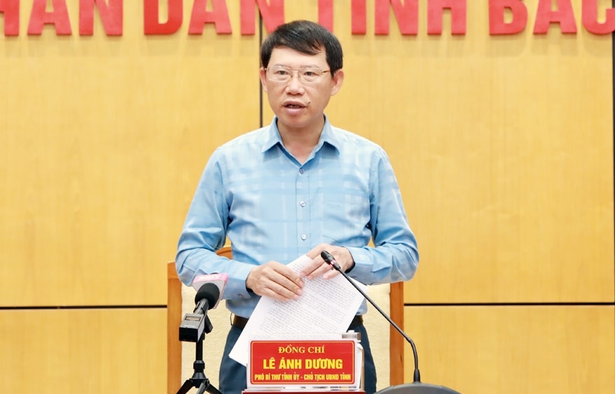 Ông Lê Ánh Dương - Chủ tịch UBND tỉnh Bắc Giang phát biểu kết luận tại Hội nghị