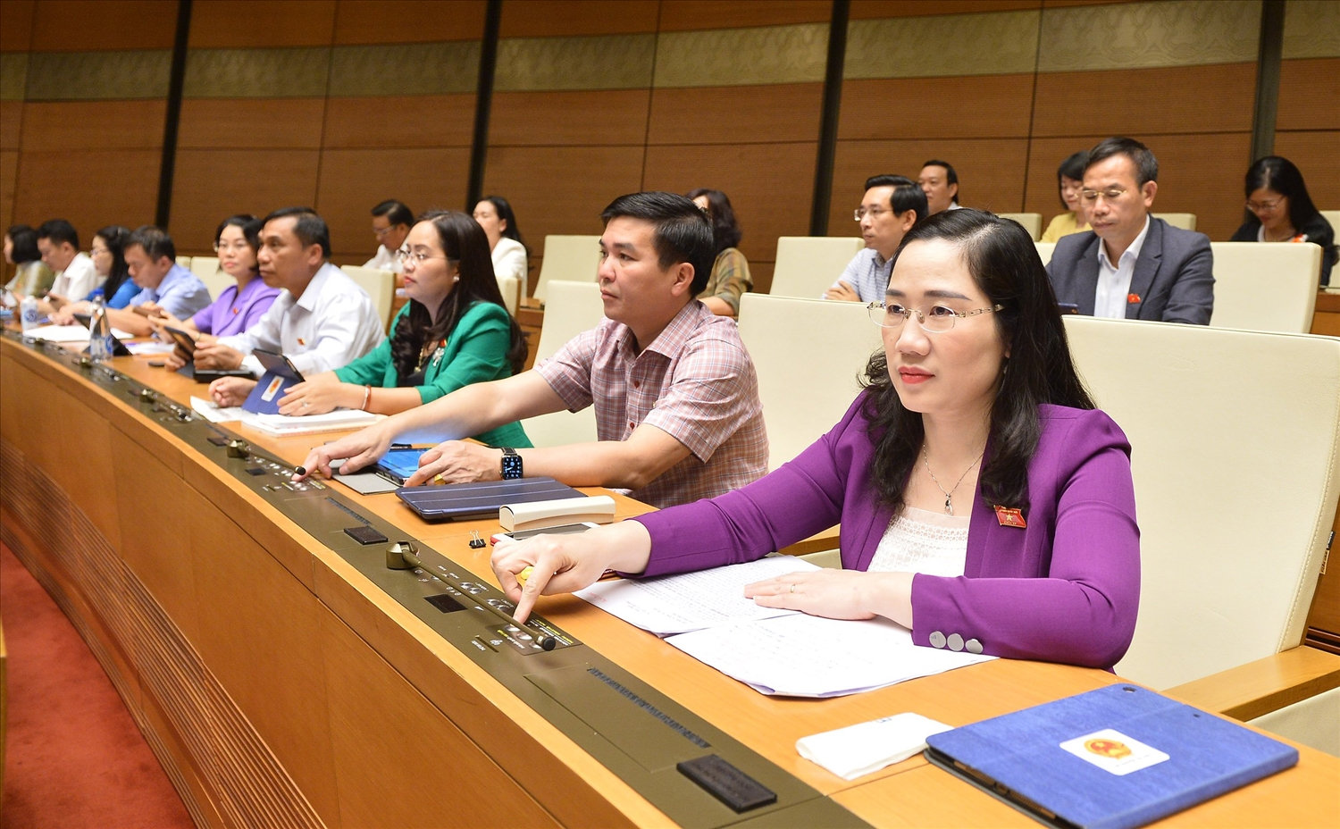 Các đại biểu tham gia biểu quyết