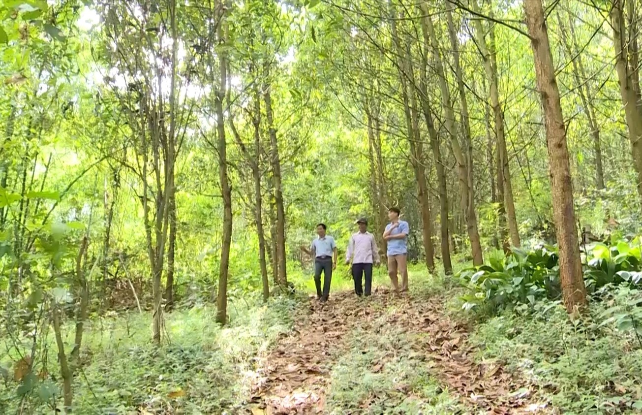 Bí thư chi bộ kiêm trưởng thôn, bản không những làm tốt công tác vận động, mà khuyến khích người dânphát triển kinh tế 