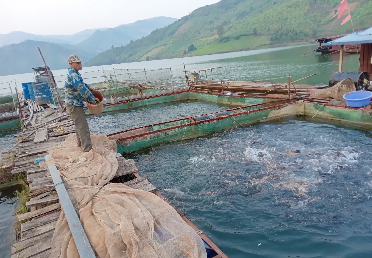 Mô hình nuôi cá của Người có uy tín ỏ xã Tân Hợp Mộc Châu mang lại hiệu quả kinh tế cao. Mô hình nuôi cá của Người có uy tín ỏ xã Tân Hợp Mộc Châu mang lại hiệu quả kinh tế cao.