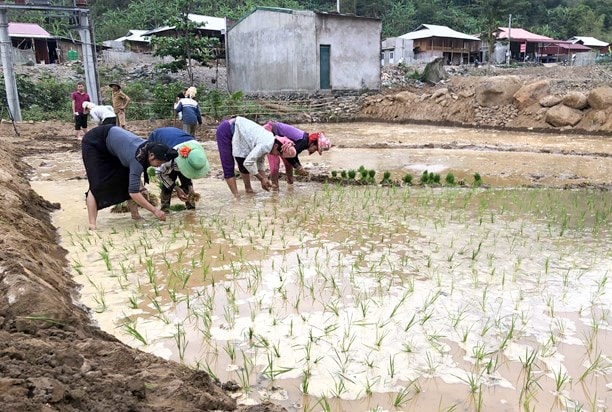 Thu nhập bình quân đầu người của tỉnh Sơn La tăng từ 15,472 triệu đồng/người/năm (năm 2016) lên 22,008 triệu đồng/người/năm trong năm 2021. (Ảnh minh họa)