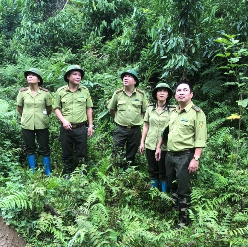 Lãnh đạo Chi cục Kiểm lâm tỉnh và phòng nghiệp vụ kiểm tra công tác quản lý bảo vệ rừng tại huyện Định Hóa. Lãnh đạo Chi cục Kiểm lâm tỉnh và phòng nghiệp vụ kiểm tra công tác quản lý bảo vệ rừng tại huyện Định Hóa.