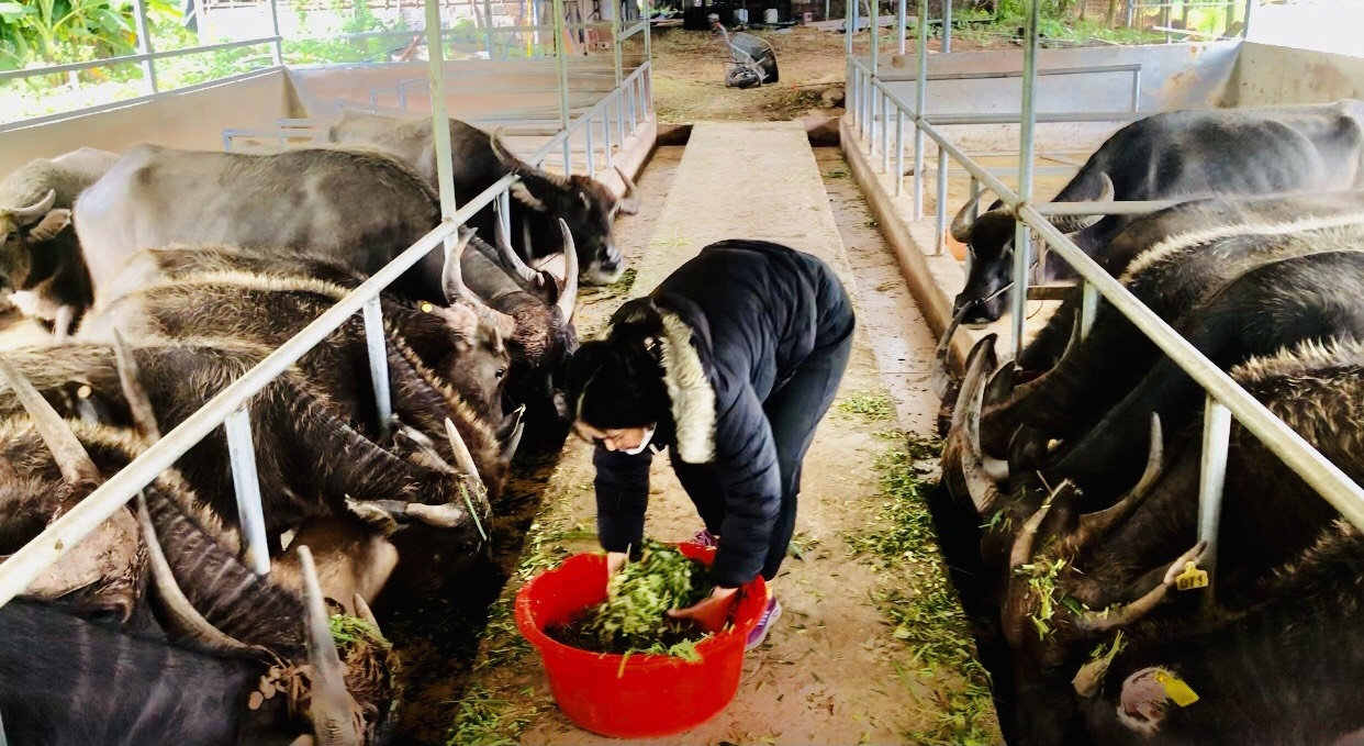 Tỉnh Điện Biên triển khai đồng bộ nhiều giải pháp nhằm tạo cơ hội và nâng cao trình độ cho lực lượng lao động. Tỉnh Điện Biên triển khai đồng bộ nhiều giải pháp nhằm tạo cơ hội và nâng cao trình độ cho lực lượng lao động.