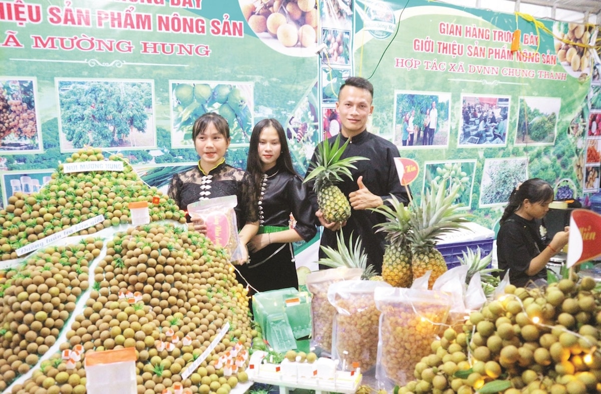 Liên kết sản xuất để đưa nông sản Sông Mã tiếp cận thị trường trong và ngoài nước. Liên kết sản xuất để đưa nông sản Sông Mã tiếp cận thị trường trong và ngoài nước.