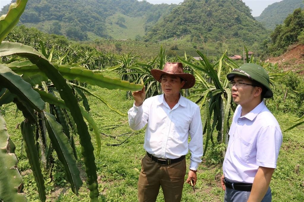 HTX trên địa bàn huyện Thuận Châu ngày càng phát triển, góp phần thúc đẩy kinh tế huyện phát triển. HTX trên địa bàn huyện Thuận Châu ngày càng phát triển, góp phần thúc đẩy kinh tế huyện phát triển.