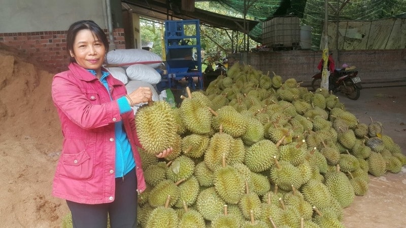 Bà Đặng Thị Thúy Nga, Giám đốc HTX Dịch vụ nông nghiệp Xuân Định giới thiệu về sản phẩm sầu riêng đạt chứng nhận sản phẩm OCOP. Bà Đặng Thị Thúy Nga, Giám đốc HTX Dịch vụ nông nghiệp Xuân Định giới thiệu về sản phẩm sầu riêng đạt chứng nhận sản phẩm OCOP.
